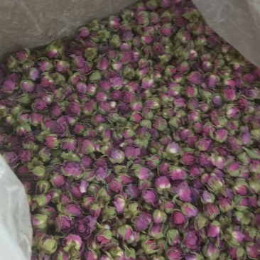 玫瑰花