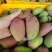 攀枝花芒果精品贵妃芒对接各大平台一件代发饮料加工厂