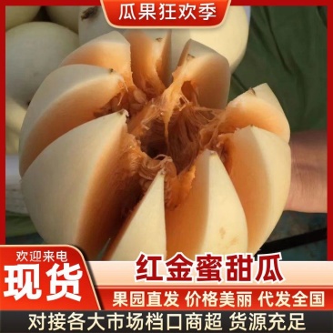 白甜瓜，甜红玉甜瓜找马斌！！小白瓜质量好价格便宜！货源足