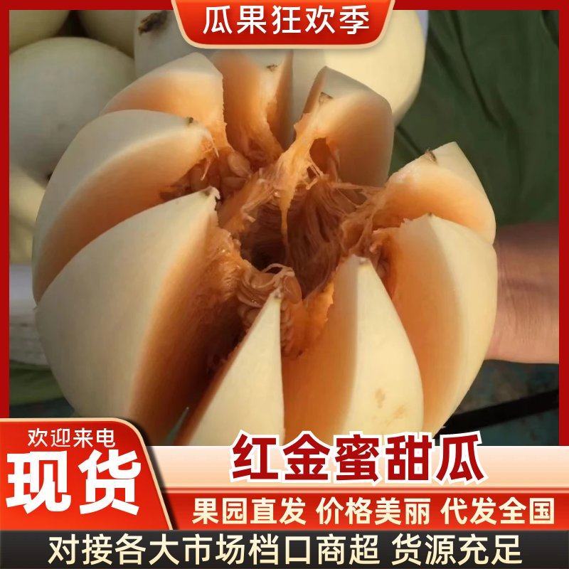 白甜瓜，甜红玉甜瓜找马斌！！小白瓜质量好价格便宜！货源足