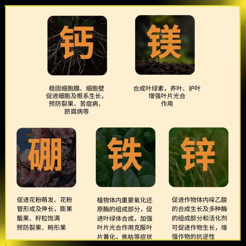 【膨果防裂上色增甜】钙镁铁锌硼五素同补中量元素水溶肥