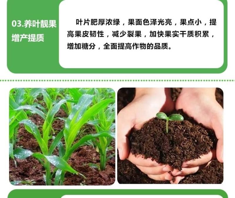 【膨果防裂上色增甜】钙镁铁锌硼五素同补中量元素水溶肥