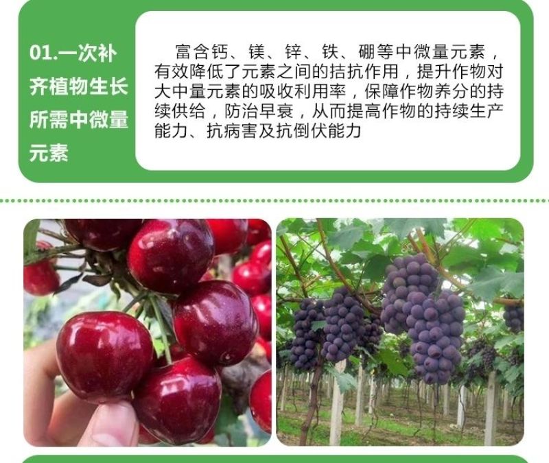 【膨果防裂上色增甜】钙镁铁锌硼五素同补中量元素水溶肥