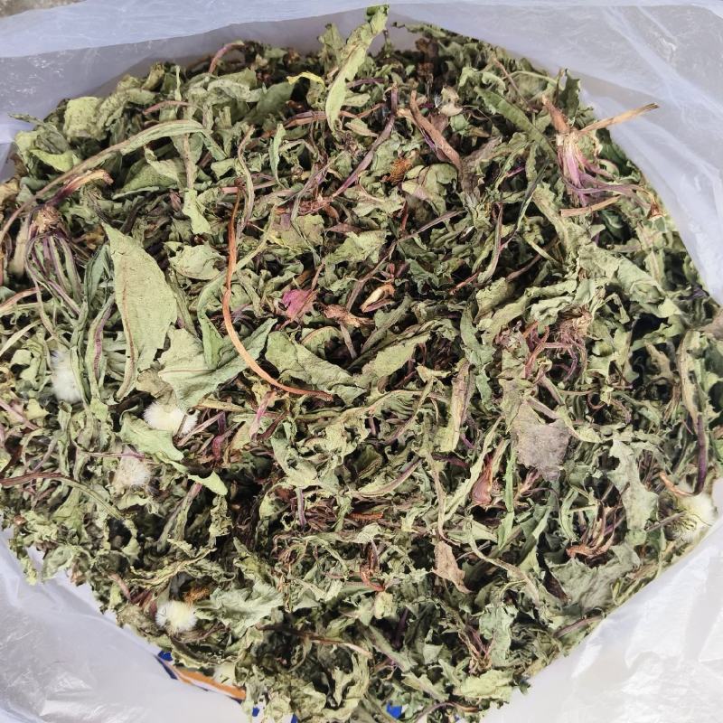 高山蒲公英自然生长，无污染，干净无质，自然凉晒。