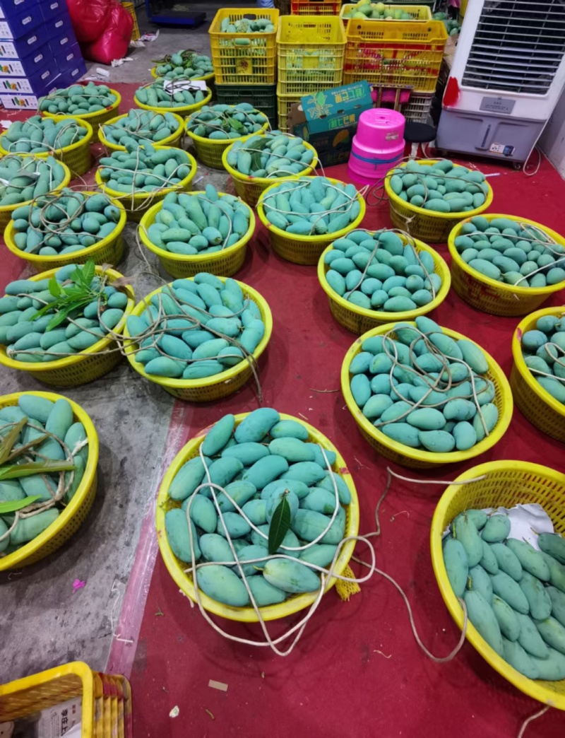 攀枝花芒果精品贵妃芒对接各大平台一件代发饮料加工厂