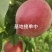 蜜脆桃