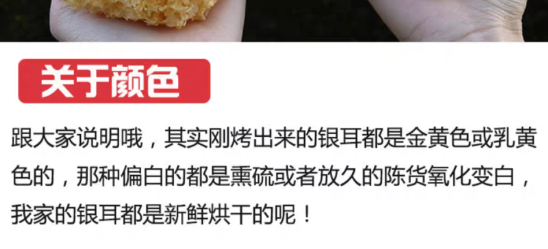 包邮）500g福建古田易出胶有机银耳干货无硫孕妇雪耳