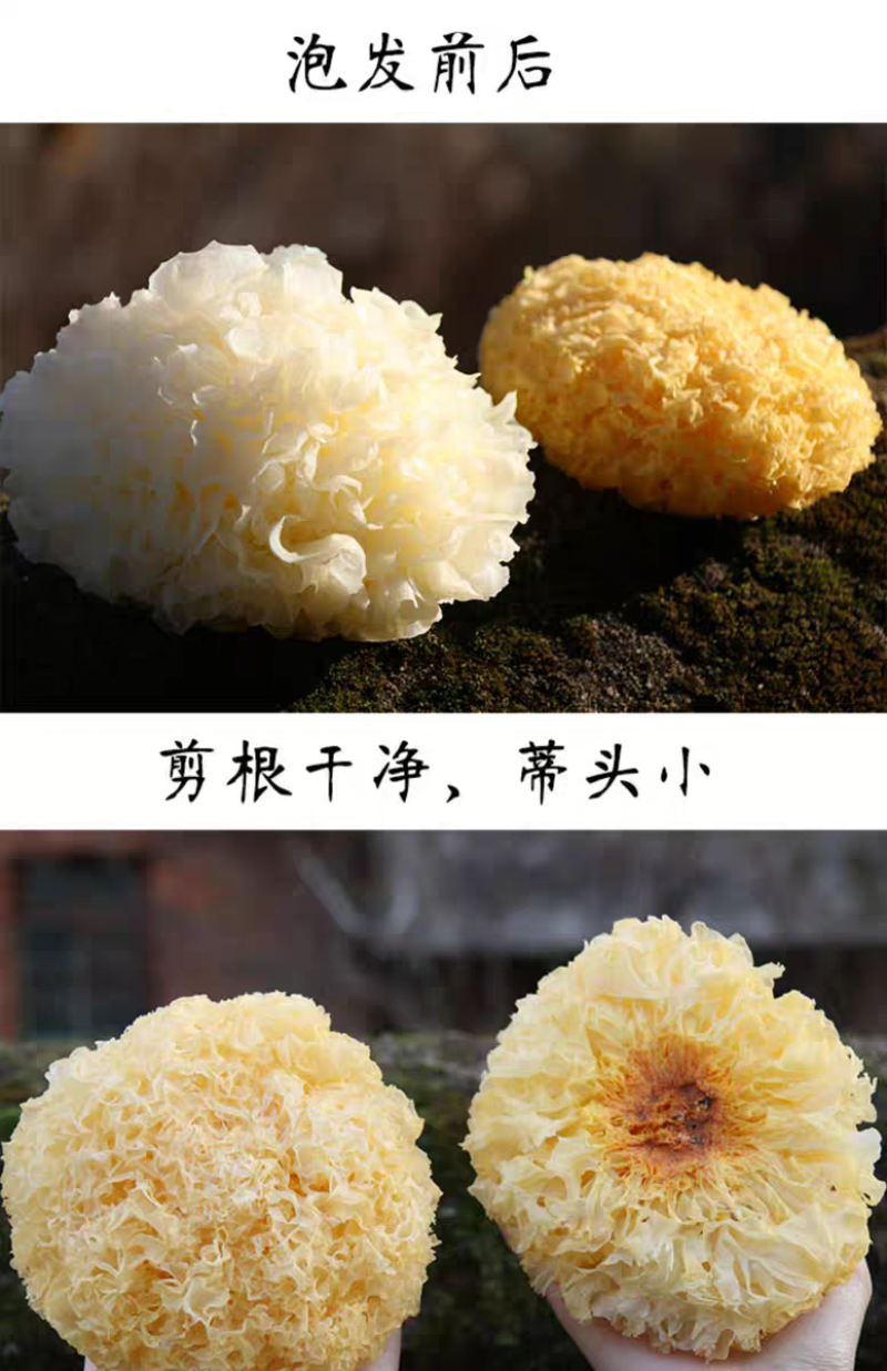 包邮）500g福建古田易出胶有机银耳干货无硫孕妇雪耳