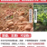 包邮）500g福建古田易出胶有机银耳干货无硫孕妇雪耳
