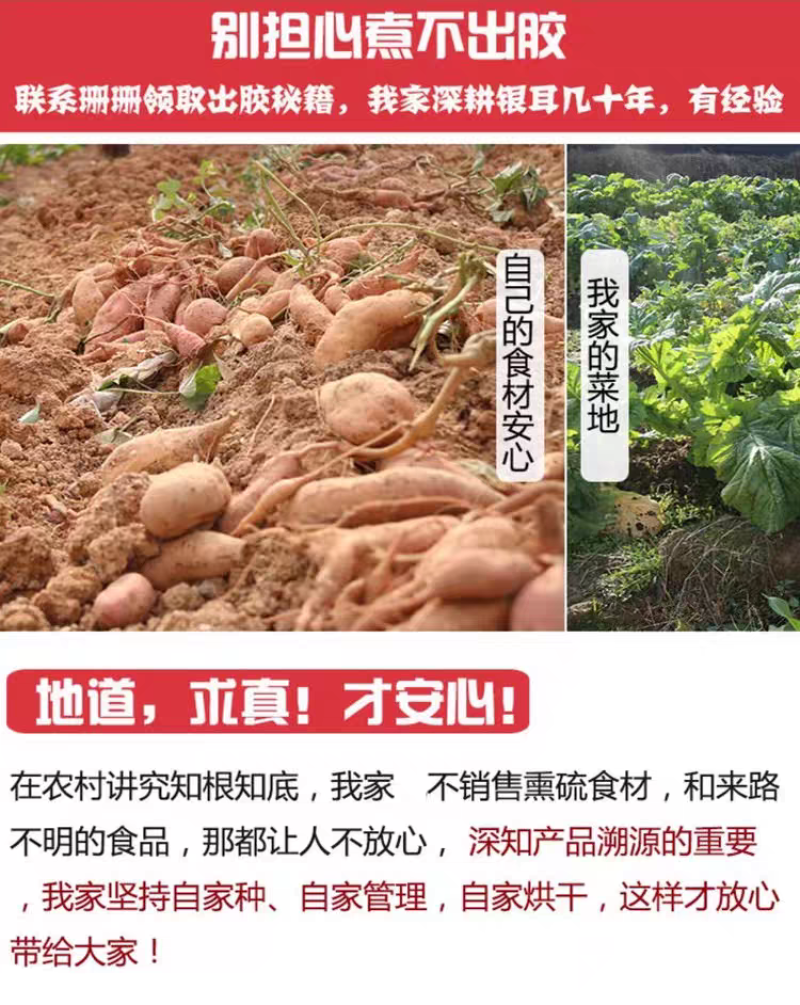 包邮）500g福建古田易出胶有机银耳干货无硫孕妇雪耳