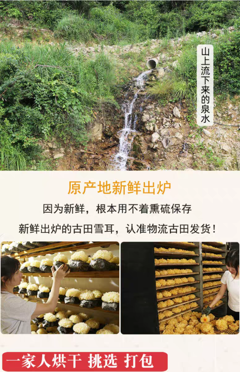 包邮）500g福建古田易出胶有机银耳干货无硫孕妇雪耳