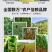 大量元素水溶肥，果树，蔬菜，高氮，高磷，高钾，平衡全水溶