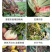 大量元素水溶肥，果树，蔬菜，高氮，高磷，高钾，平衡全水溶