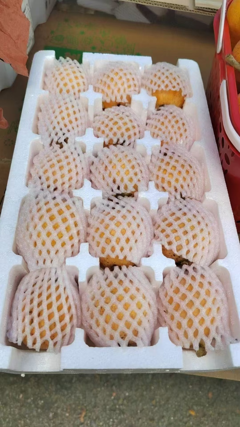 南江富硒枇杷