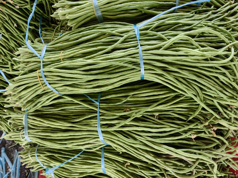 青条豆角丨电商丨超市丨市场丨质量保证，量大从优