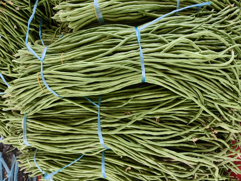 青条豆角丨电商丨超市丨市场丨质量保证，量大从优