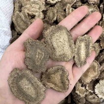 【云木香】·产地直销·一件代发·保质保量