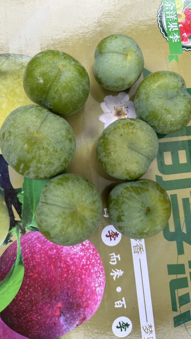 青脆李
