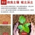 复合黄腐酸钾型微生物菌剂多效合一特加哈次枯草杆菌提高肥效