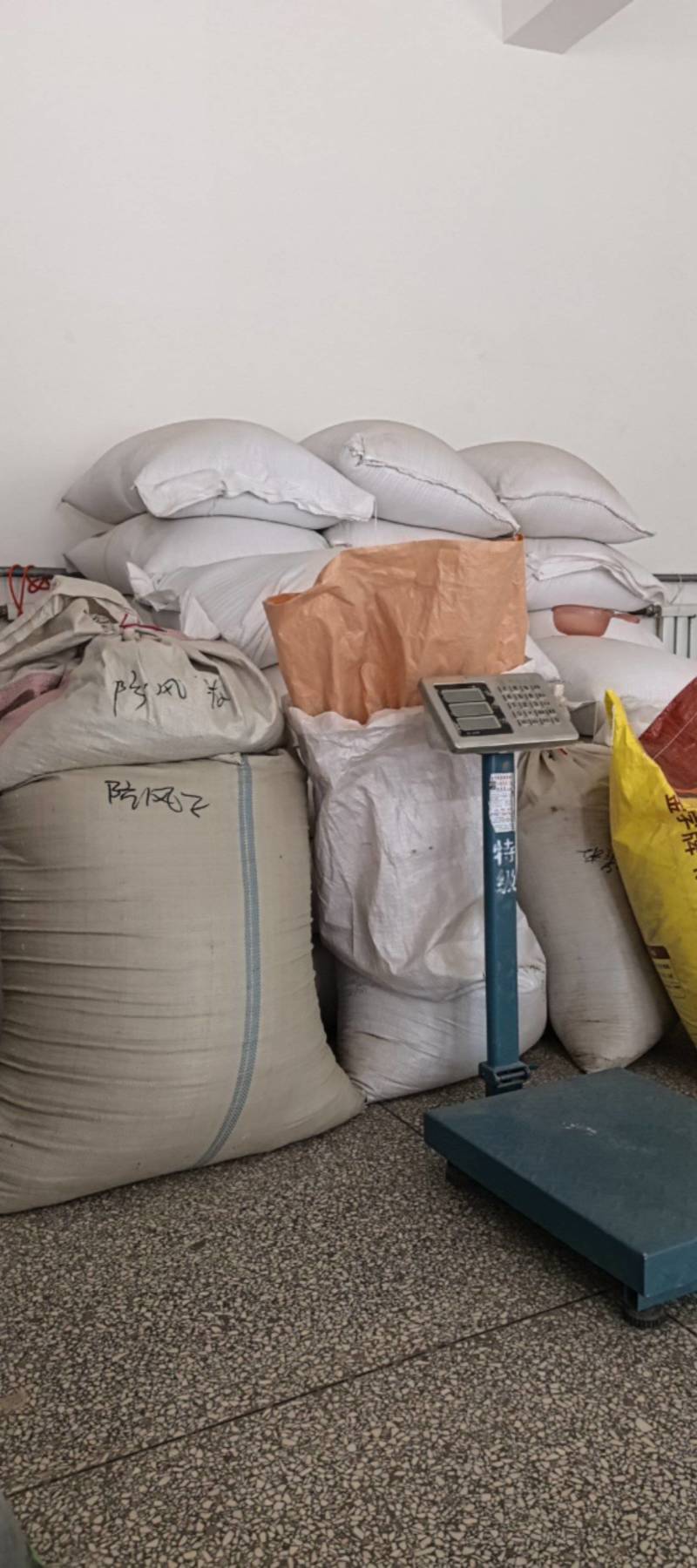 桔梗，干净无杂志，有要的联系
