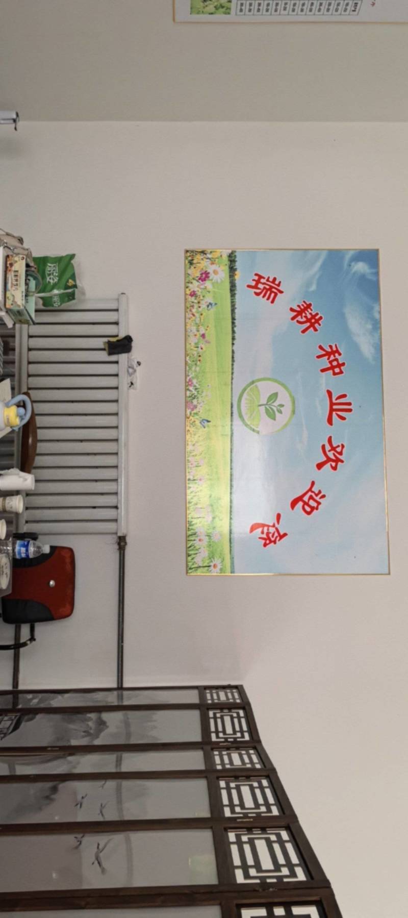 荆芥种子纯新种子，保质保量干净无掺杂土质价格实惠