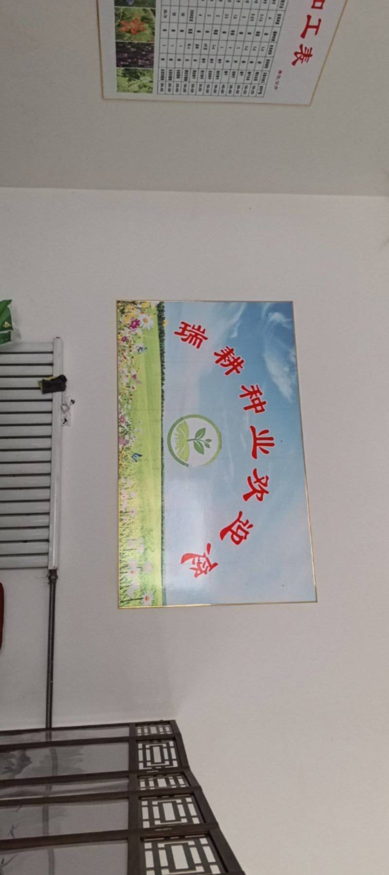 桔梗，干净无杂志，有要的联系