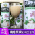 洪湖特产洪湖野莲汁240ml复合植物蛋白饮料莲藕汁