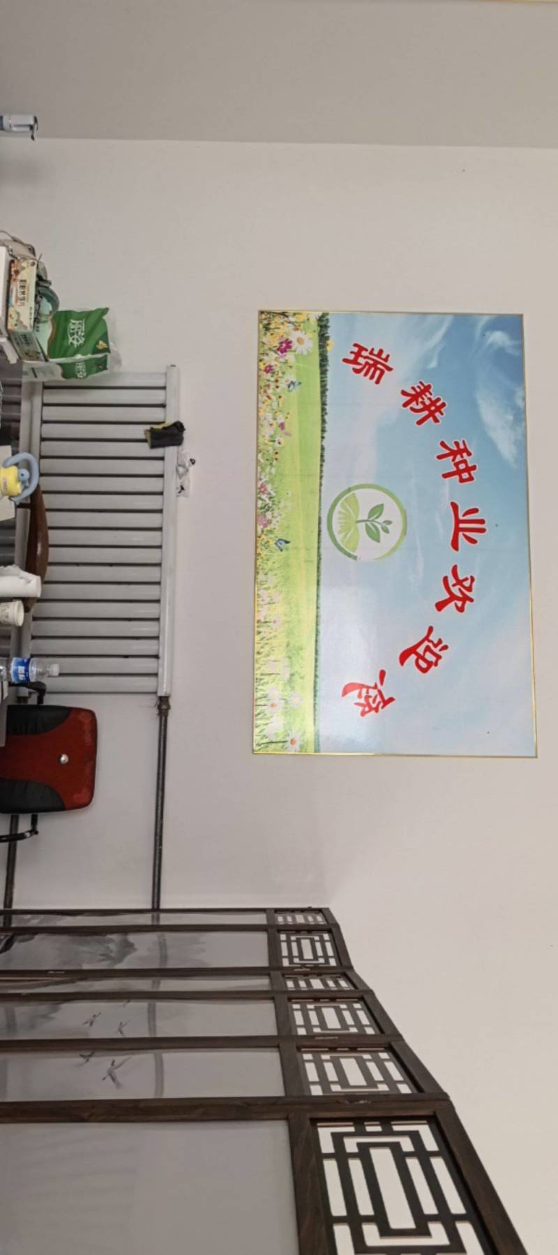 纯新苦参种子，干净无杂质，欢迎新老朋友下单
