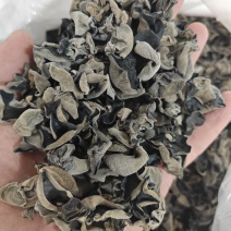 无增重原货东北秋耳干货头茬小碗耳高泡发率黑木耳口感脆爽