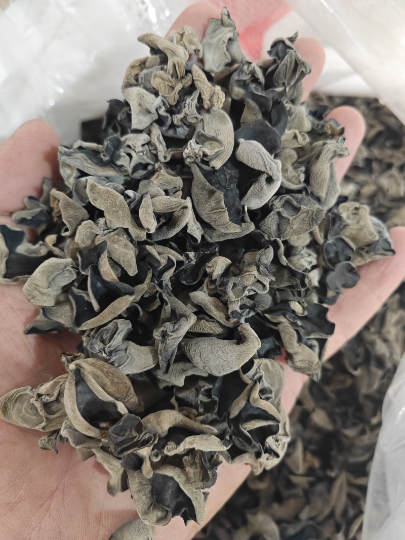 无增重原货东北秋耳干货头茬小碗耳高泡发率黑木耳口感脆爽
