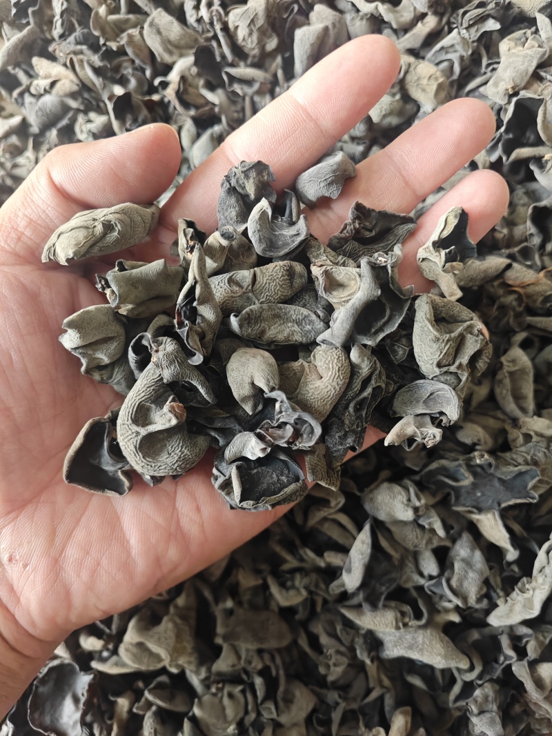 无增重原货东北秋耳干货头茬小碗耳高泡发率黑木耳口感脆爽