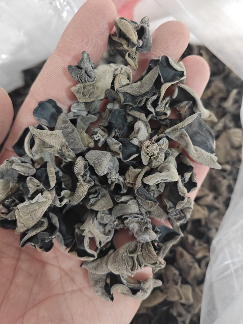 无增重原货东北秋耳干货头茬小碗耳高泡发率黑木耳口感脆爽