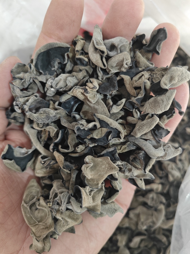 无增重原货东北秋耳干货头茬小碗耳高泡发率黑木耳口感脆爽