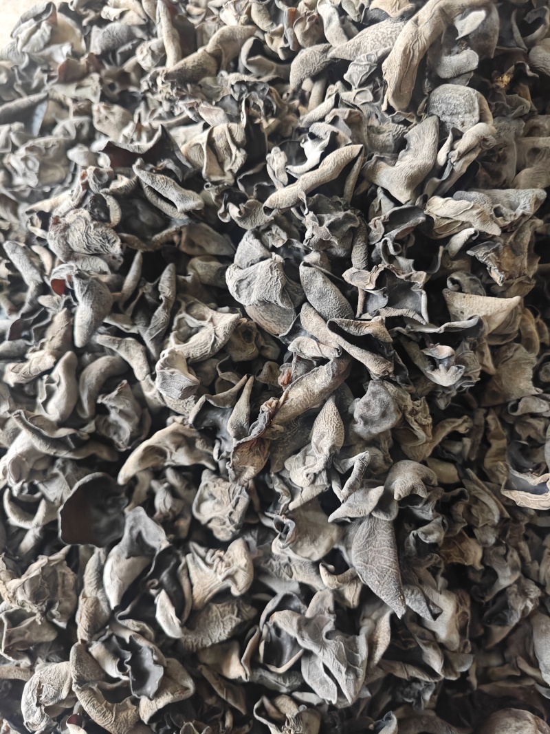 无增重原货东北秋耳干货头茬小碗耳高泡发率黑木耳口感脆爽