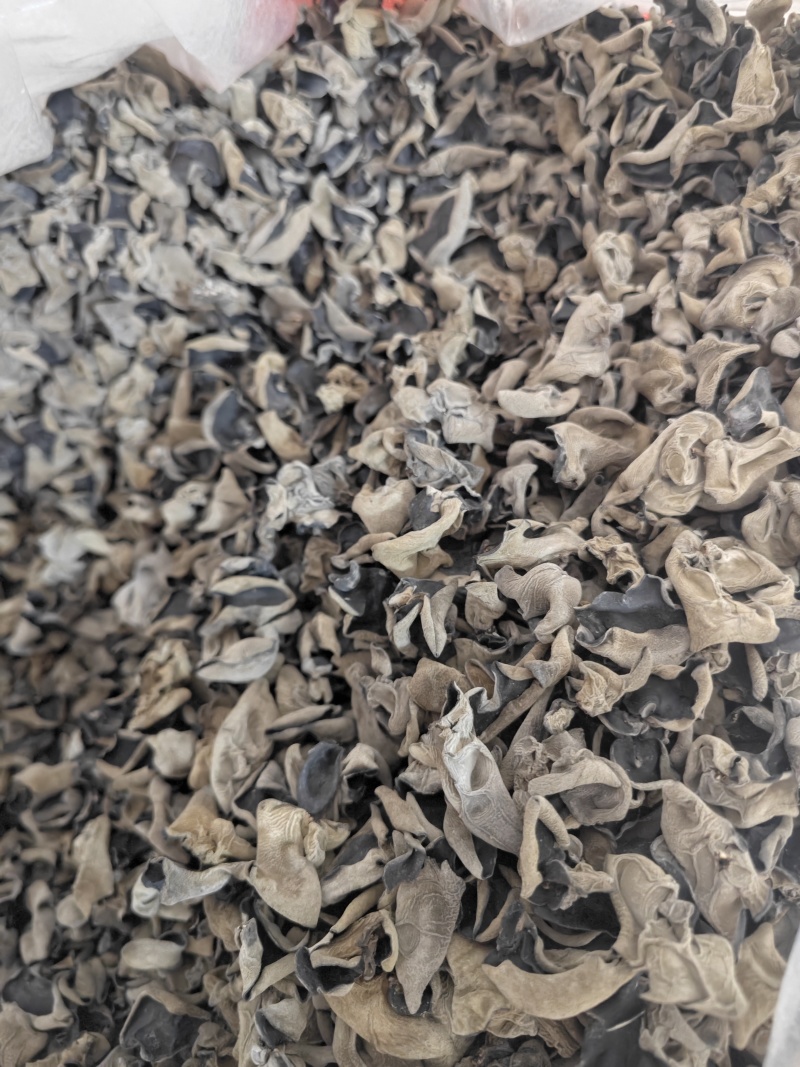 无增重原货东北秋耳干货头茬小碗耳高泡发率黑木耳口感脆爽