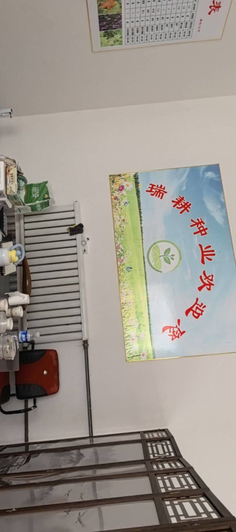 纯新苦地丁种子，干净无杂质，欢迎新老朋友下单