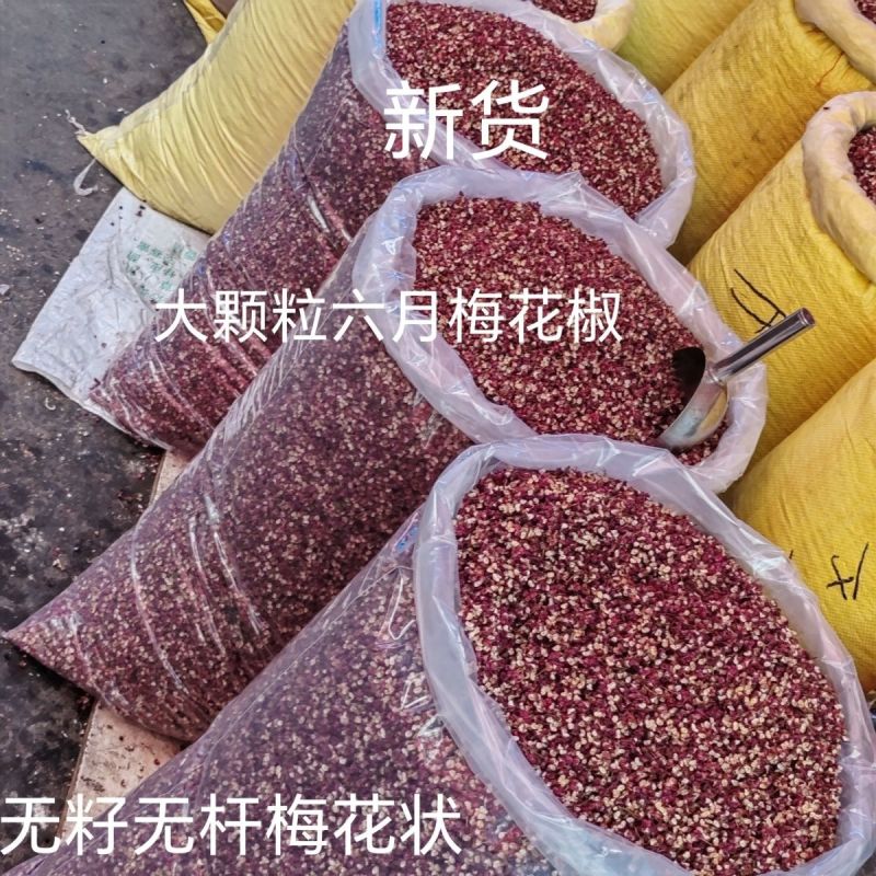 甘肃武都新货,特麻六月梅花椒,无籽无杆,形状像梅花,产地