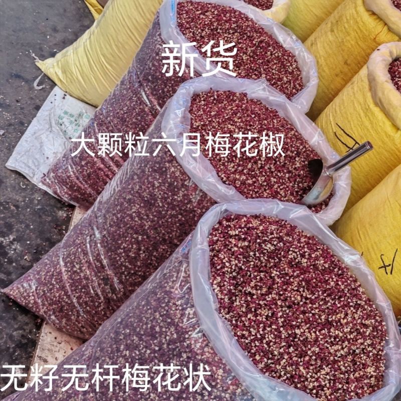 甘肃武都新货,特麻六月梅花椒,无籽无杆,形状像梅花,产地