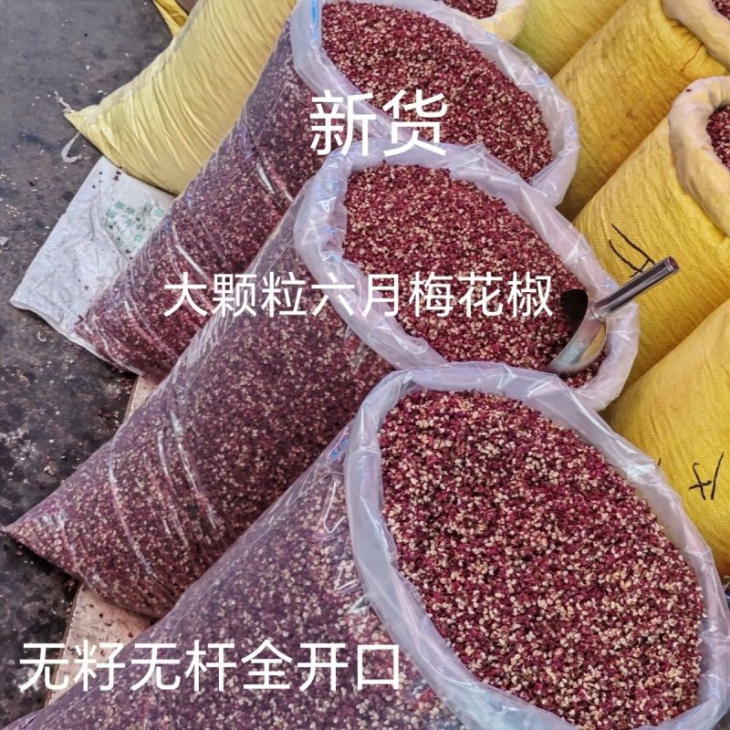 甘肃武都新货,特麻六月梅花椒,无籽无杆,形状像梅花,产地