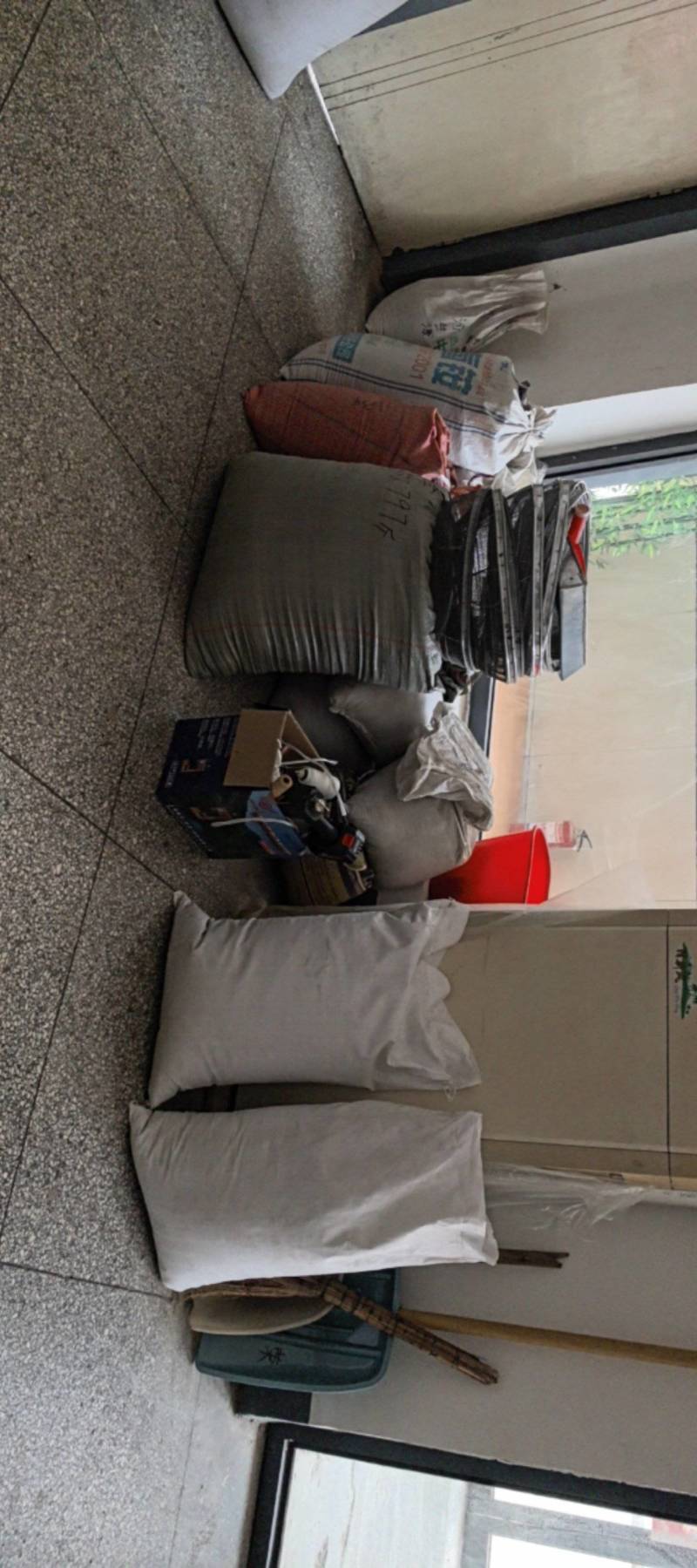 纯新前胡种子，干净无杂质，欢迎新老朋友下单