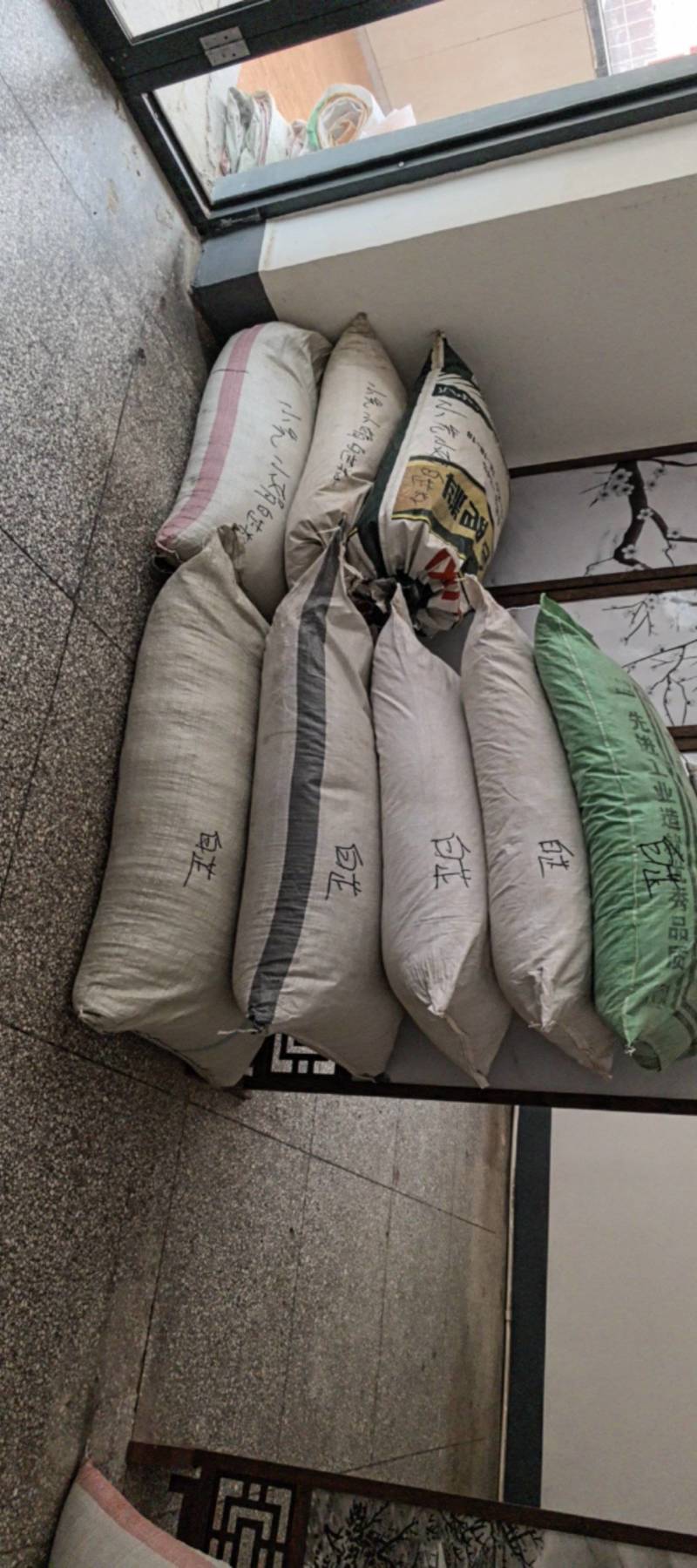 纯新前胡种子，干净无杂质，欢迎新老朋友下单