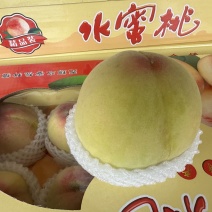 无锡水蜜桃2026年预售，6月初有货