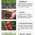 复合微生物菌剂果蔬玉米大豆小麦花卉通用型