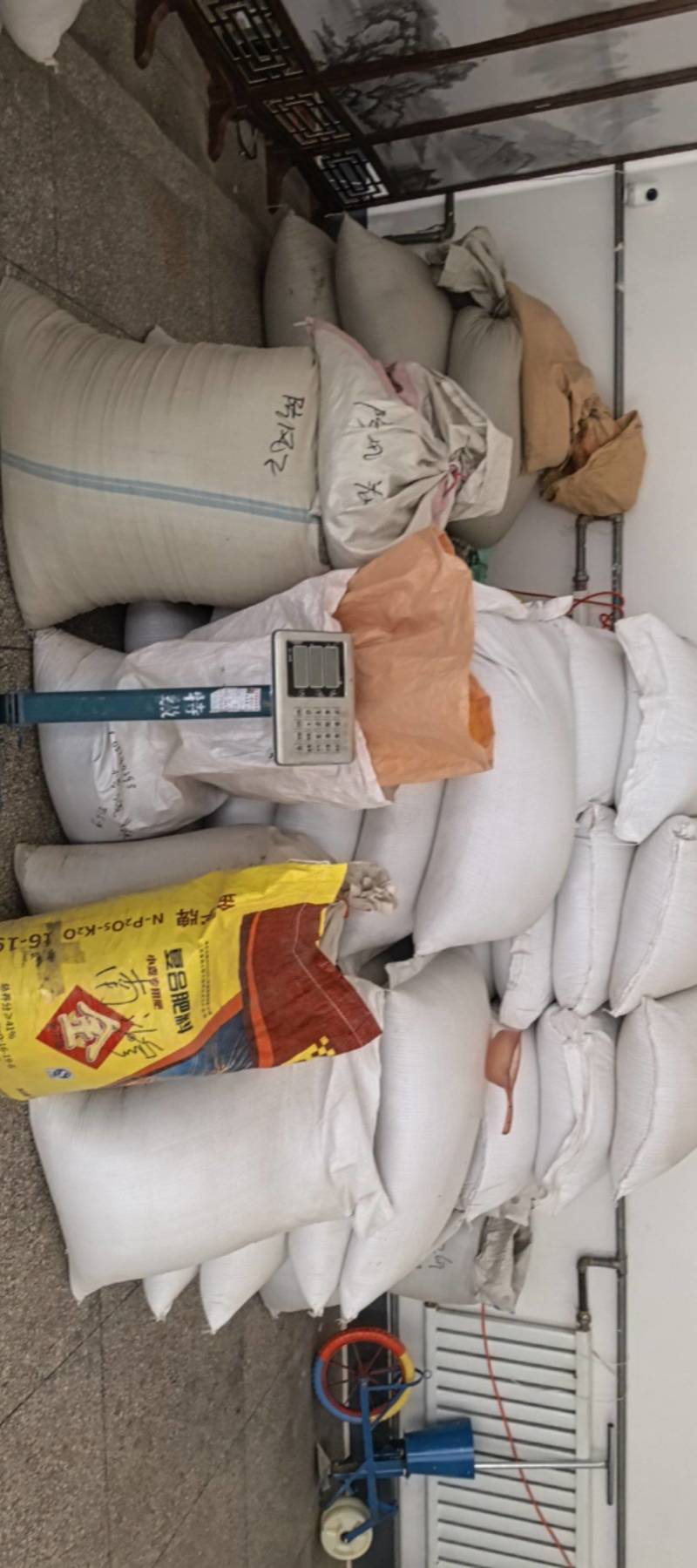 纯新白花鸡冠子，颗粒饱满，欢迎新老朋友下单