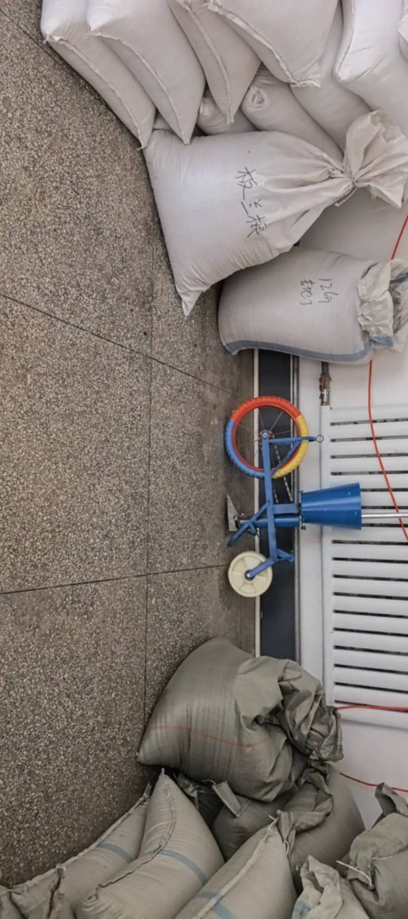 纯新白花鸡冠子，颗粒饱满，欢迎新老朋友下单