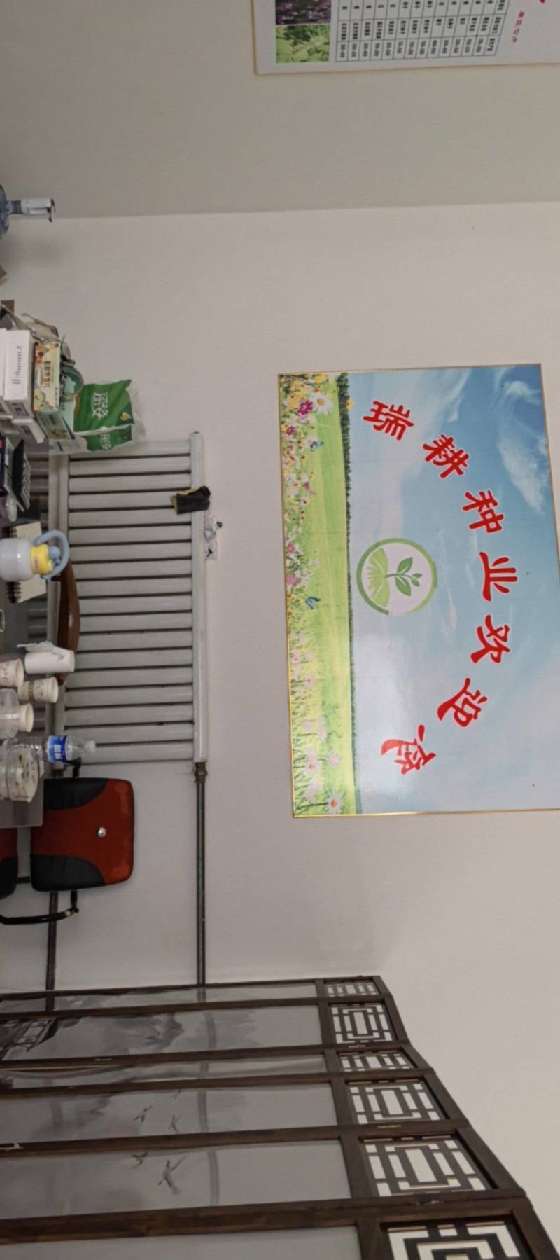纯新白花鸡冠子，颗粒饱满，欢迎新老朋友下单