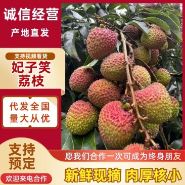 荔枝妃子笑黑叶～一件代发对接各大电商平台量大优惠可谈