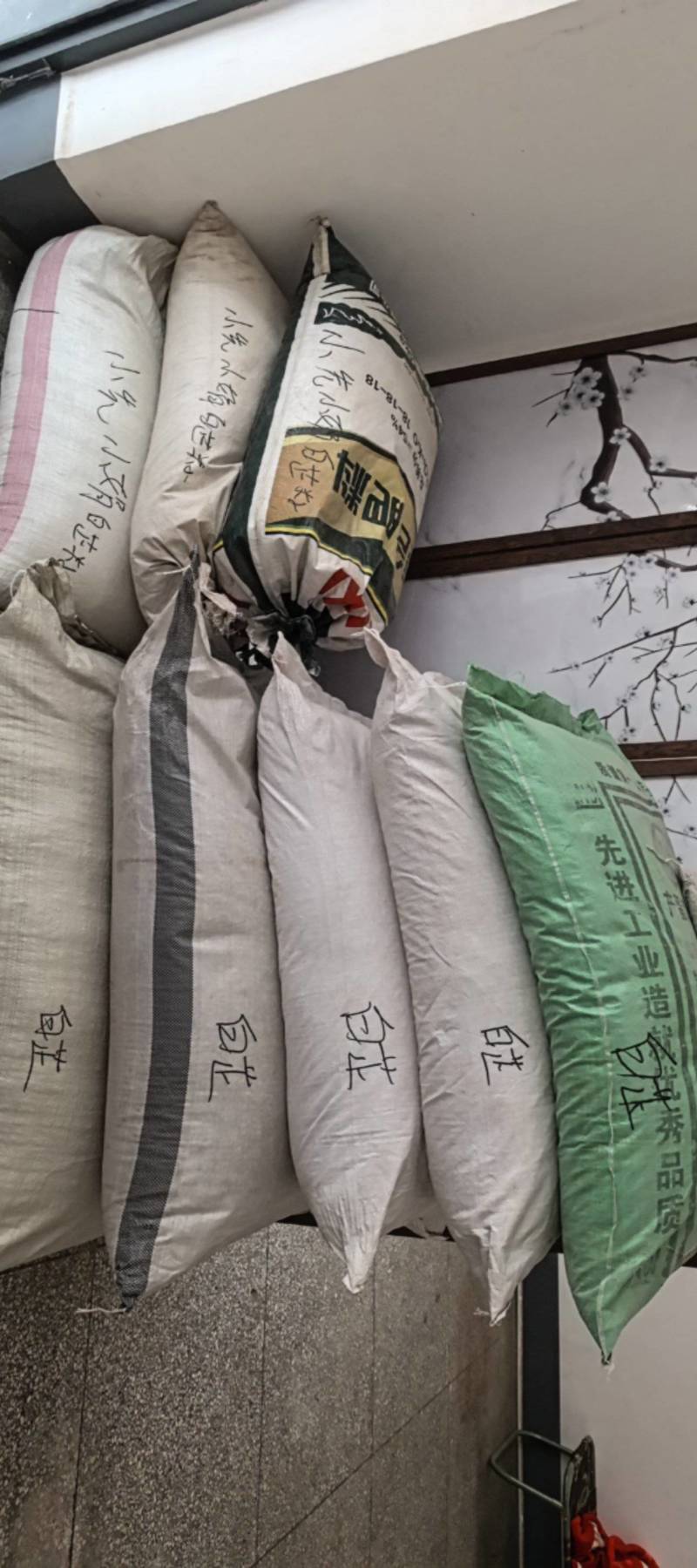 张家口防风种子，干净无杂志，关心新老朋友下单