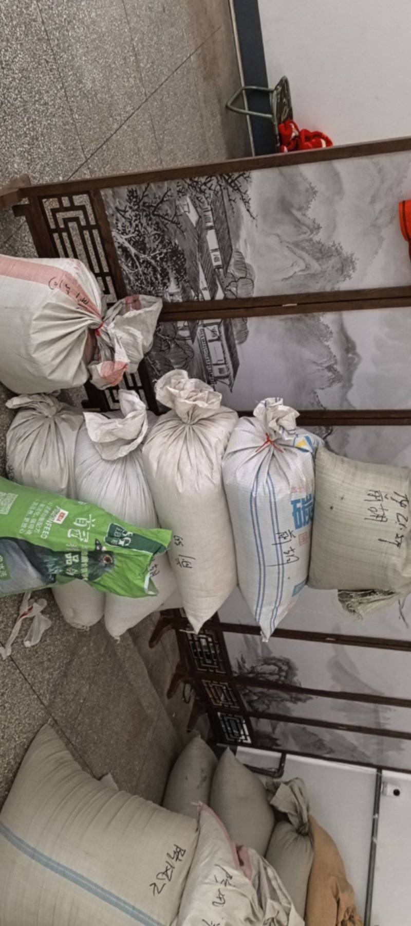 张家口防风种子，干净无杂志，关心新老朋友下单