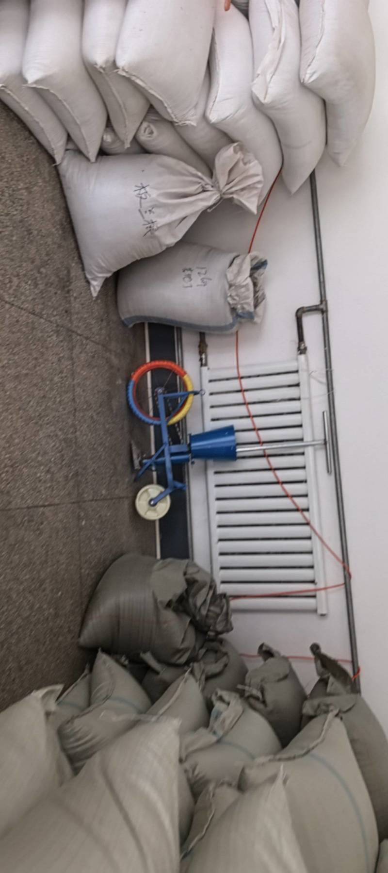 张家口防风种子，干净无杂志，关心新老朋友下单